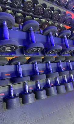 Free Weights Zone